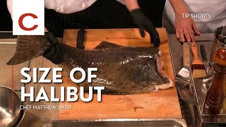 Sizes of Halibut | Chef Matthew Smith | Tips #shorts