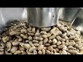 Organic Castor Oil Manufacturing - Oil Press