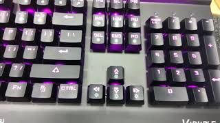 Foxxray RGB VARIABLE Blue switch Mechanical Gaming Keyboard unboxing | Tech Land