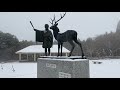 愛知県　吹雪の本宮山　山頂