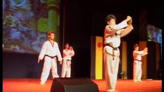 美中文娱晚会2009跆拳道表演：赤子丹心(Teakwondo Performance)