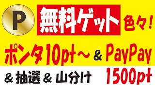 Pontaポイント＆楽天ポイント＆PayPayポイント＆セブンマイル＆majicaポイント無料ゲットキャンペーン！