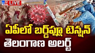 కోడికి రోగం..తిన్నారా ..ఇక అంతే..! LIVE | Bird Flu Alert Sounded in Telugu States -TV9