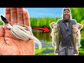 INSANE Chatterbait & Crankbait Fishing for Spring Bass!