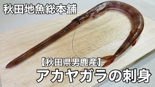 【秋田県男鹿産】アカヤガラの刺身