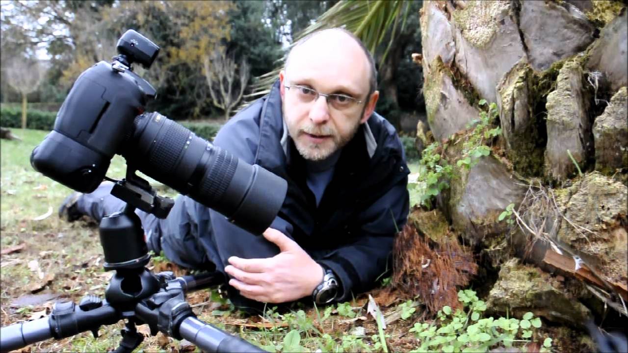 Nature Macro Photography Lesson Professional Level Sharpness Youtube