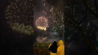 new year celebration #ytshorts #shortsfeed #shorts #trending #reels #viral #fireworks #newyear #2024