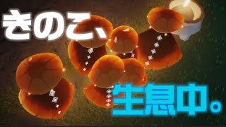 大樹に集うきのこ達。【sky星を紡ぐ子どもたち】