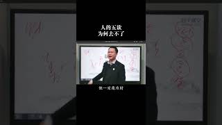 人的欲望是有阶梯性的#国学智慧 #知识分享 #李双林