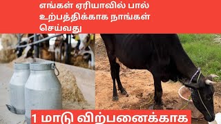 எங்கள் ஏரியாவில் பால் உற்பத்திக்காக நாங்கள் செய்வது.1 மாடு விற்பனைக்காக.  #radhakrishnanfarms