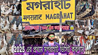 South Kolkata Bigest Pigeon Market Magrahat Visit || মগরাহাট ভিসিট করলাম #pigeon #vlog #viral