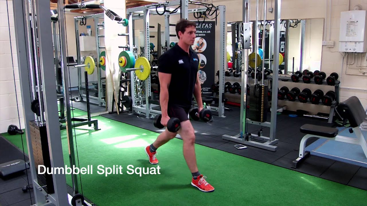 Demo Dumbbell Split Squat Youtube