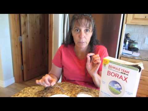 Get Rid of Ants with Borax!! Get Rid of Ants with Borax!!