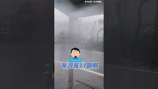 康芮直撲花蓮！卓溪鄉太平村強風暴雨「路樹狂搖」 #shorts