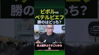 全戦全勝全勝KO.熊と呼ばれるベテルビエフでも今回の相手はキツイか？#shorts