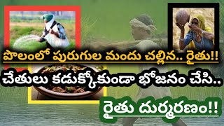 కన్నయ్య అనే వ్యక్తి..పొలంలో పురుగులు మందు చల్లి. భోజనం చేసి.!!భార్య చెప్పిన వినకుండా.!| REAL STORY |