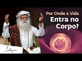 De Que Forma a Vida Entra no Corpo? | Sadhguru Português