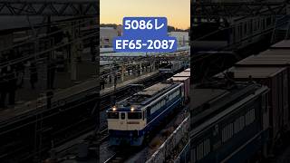 【5086レ】EF65-2087#貨物列車 #鉄道 #shorts #train #ef65 #japan