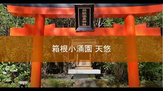 【箱根小涌園 天悠】に泊まってみた！