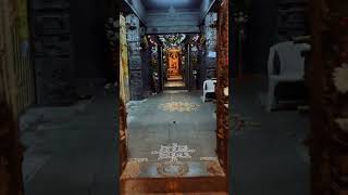 Tirumala Tirupati Vaikunta Darshan 🙏🏻 | Tirumala | WeTube