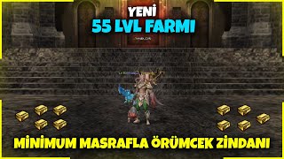 +55 Leveller de Yapılabilecek Farmlar! Minimum Masrafla Örümcek Zindanı I Metin2 TR [Ruby] Lucifer#9