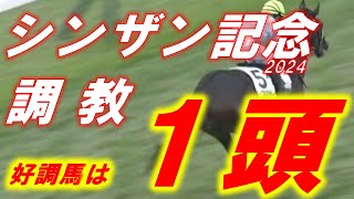 シンザン記念2024　追い切り診断‼　スピードAクラスの馬がいるが、馬場がどうか…！！　元馬術選手のコラム by アラシ