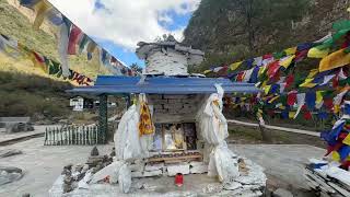 HOLY TREE AT LAC #tawang #india #arunachal #buddha #carcareadventures #buddhism #lama