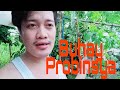 Buhay Probinsya | DhEvon Cy VLogs