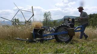 Moissoneuse lieuse bcs 622 dans un champ de blé