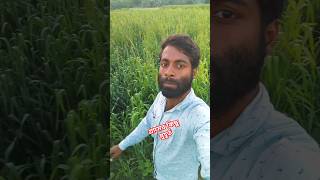 গ্রামার কিছু মুহুর্ত #shortvideo #vlog #sort