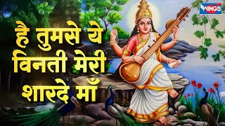 है तुम से ये विनती मेरी शारदे माँ | Hai Tumse Ye Vinti | Saraswati Mata Bhajan | Saraswati Mata Song