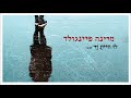 מרינה פיינגולד לו היית זר