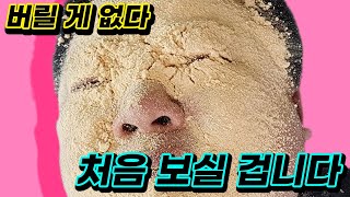 시골 정미소 도정 비용│시골은 지금... ep.56