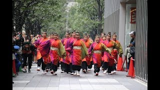 第17回ドリーム夜さ来い祭り　二日目　秋葉原UDX会場　　【ピンクチャイルド】