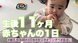 【生後11ヶ月】赤ちゃんの1日に密着【ワンオペ】