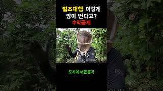 벌초대행 수익이 이렇게 좋다고..?