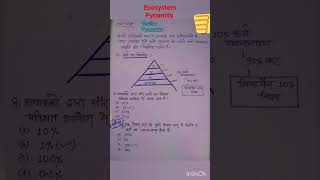 Ecosystem #Pyramid #EVS NCERT #CTET परिस्थितिक तन्त्र ( पिरामिड ) पिरामिड के प्रकार