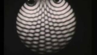 Wave Motion Interference