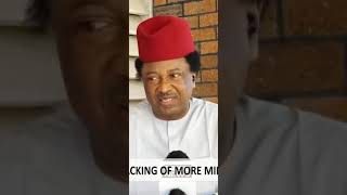 Shehu Sani: People Can Call Their President Any Name They Want #tpain #tinubu #arisenews