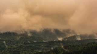 Morning mist at Golija mountain - timelapse