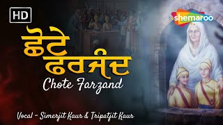 New Devotional Song 2024 - Chhote Farzand - ਜੋ ਵੀ ਗੁਰੂ ਦੇ ਲੱਲਾ ਨਾਲ ਪਿਆਰ ਕਰਦਾ ਜਰੂਰ ਸੁਣੋ - Sahibzaade