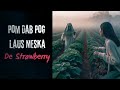 pom dab pog laus meska de strawberry hmong scary story