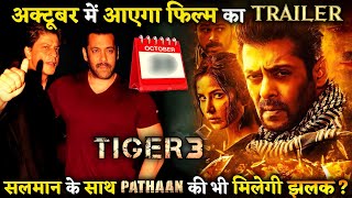 Salman Khan' Tiger 3 Trailer Will be  Out on this Date ! C4B