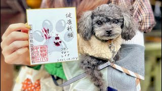 愛犬と軽井沢旅『わんちゃんの肉球はんこで健康祈願🐾』コロンちゃんご立腹の巻🐶