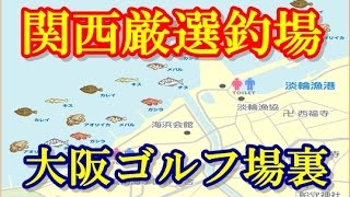 【釣り場情報】 関西の海釣り 大阪ゴルフ場裏 キス・ガシラ・メバル・アオリイカがおすすめ！！みさき公園（遊園地）で遊べる♪