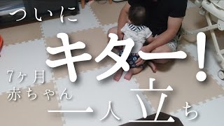 【成功！】7ヶ月赤ちゃんの一人立ち/つかまり立ち