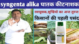 syngenta alika insecticide रसचूसक और सुन्डियो का अन्त तुरन्त, घातक कीटनाशक, किसानों की पसंदीदा