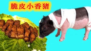 【脆皮五花肉】不爱洗澡的小猪，做成脆皮烤肉，大家觉得好吃吗？【油条小猪】