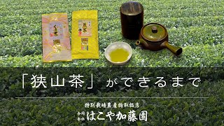 【お茶工場】埼玉県の優良ブランド品「狭山茶」ができるまで【はこや加藤園】