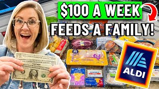 🌟REALISTIC BUDGET MEAL PLAN $100 for a WEEK of FAMILY MEALS // $3 a Day per Person!